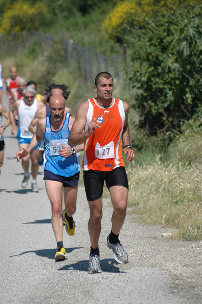 Maratonina di Villa Adriana (23/05/2010) dominici_va_2248