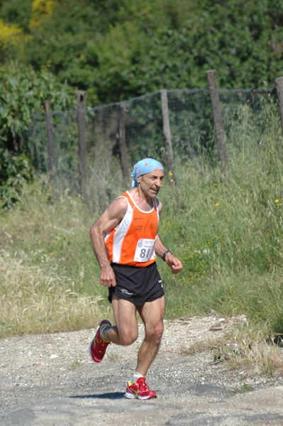 Maratonina di Villa Adriana (23/05/2010) dominici_va_2263