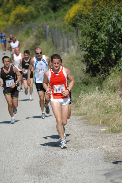 Maratonina di Villa Adriana (23/05/2010) dominici_va_2275