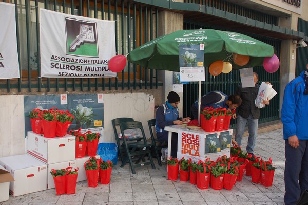 Una Gardenia per l'AISM (03/03/2012) 0041