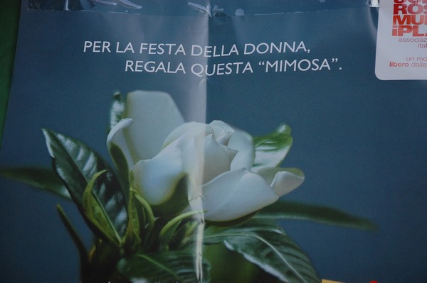 Una Gardenia per l'AISM (03/03/2012) 0052