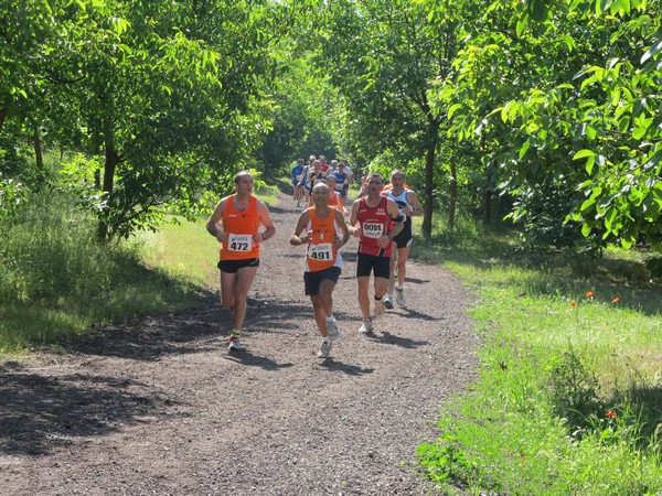 Maratonina di Villa Adriana (27/05/2012) 0006