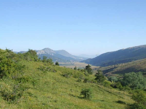 Trail Serra di Celano (Crit. Trail) (28/07/2013) 017