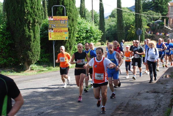 Maratonina di Villa Adriana (26/05/2013) 00049