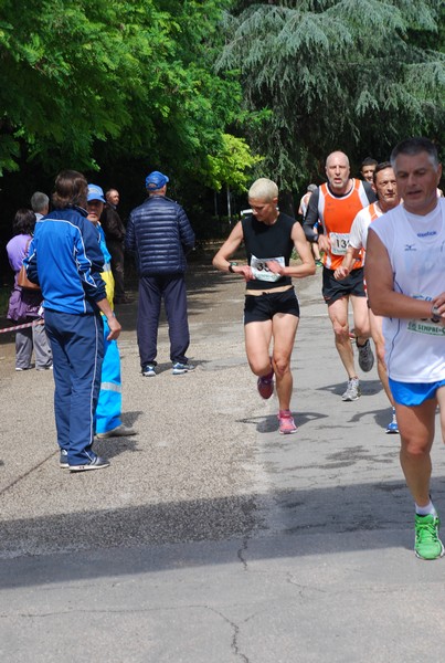Maratonina di Villa Adriana (26/05/2013) 00003