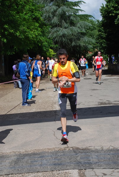 Maratonina di Villa Adriana (26/05/2013) 00018