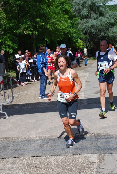 Maratonina di Villa Adriana (26/05/2013) 00038