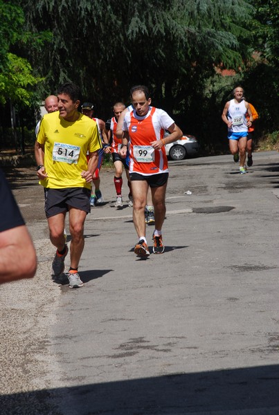 Maratonina di Villa Adriana (26/05/2013) 00043