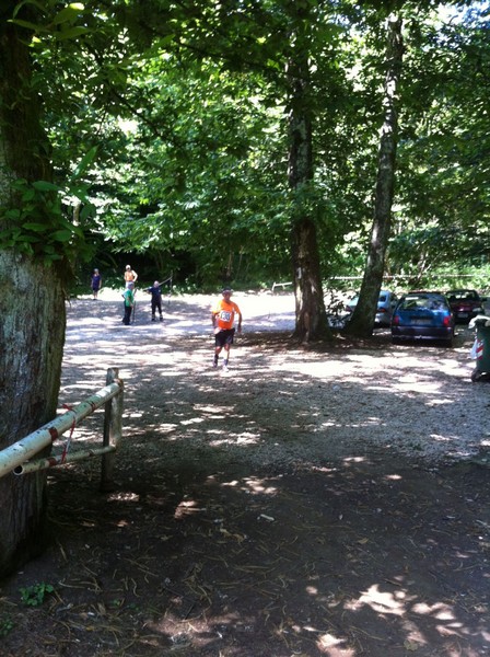 Corri tra i boschi della Fonte Ontanese (crit. estivo) (07/07/2013) 00013