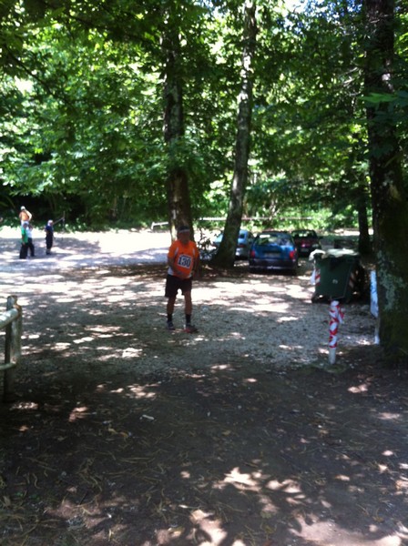 Corri tra i boschi della Fonte Ontanese (crit. estivo) (07/07/2013) 014