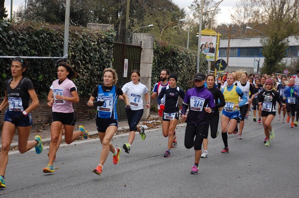 Mezza Maratona a Staffetta - Trofeo Arcobaleno (01/12/2013) 00007