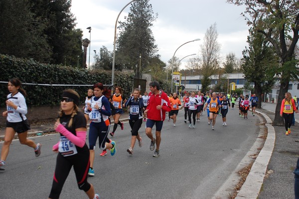 Mezza Maratona a Staffetta - Trofeo Arcobaleno (01/12/2013) 00031