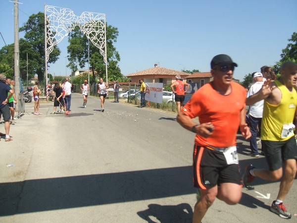 Maratonina della Lumaca (30/06/2013) 00016