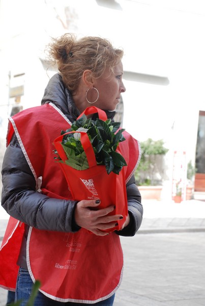 Una Gardenia per l'AISM (08/03/2014) 00034