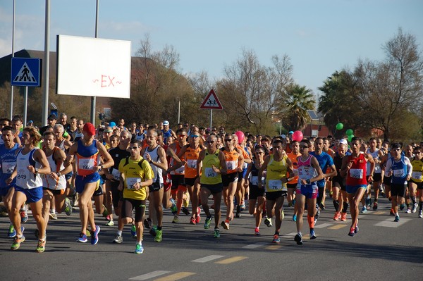 Fiumicino Half Marathon (09/11/2014) 00018