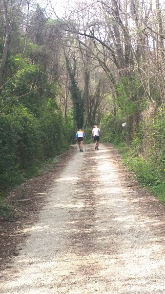 Monti Cimini Marathon (Crit. Trail) (12/04/2014) 007