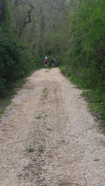 Monti Cimini Marathon (Crit. Trail) (12/04/2014) 010