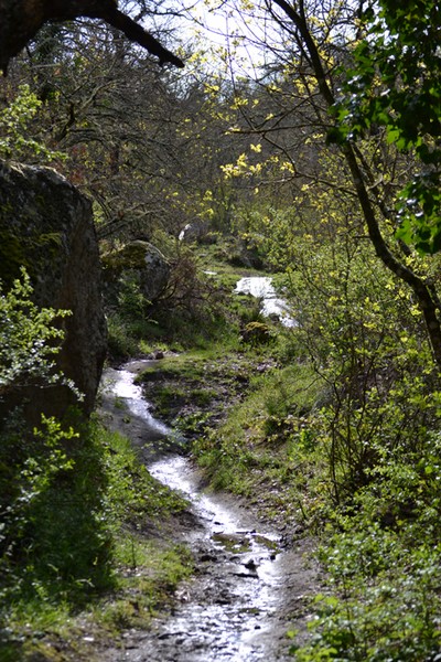 Monti Cimini Run  (Crit. Trail) (13/04/2014) 002