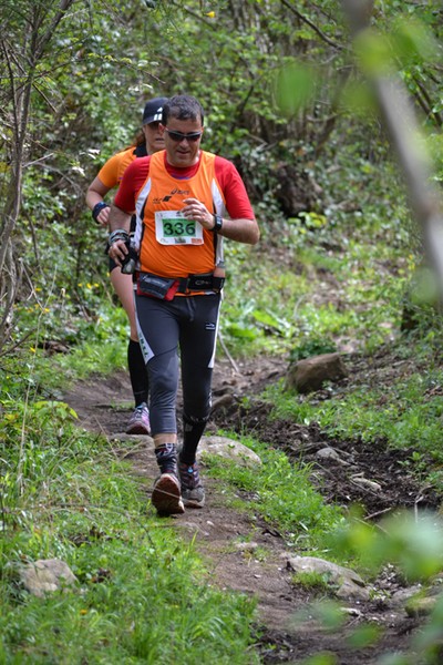 Monti Cimini Run  (Crit. Trail) (13/04/2014) 037
