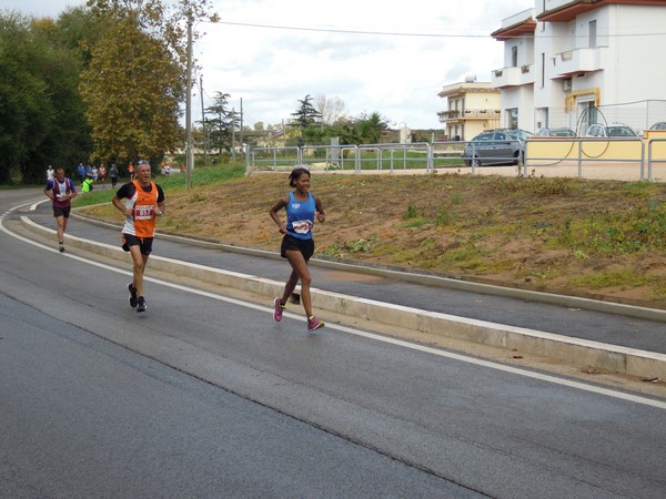 Half Marathon delle Terre Pontine (16/11/2014) 00038
