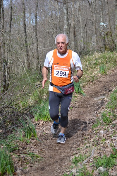 Trail della Capitale (Crit. Trail) (30/03/2014) 020
