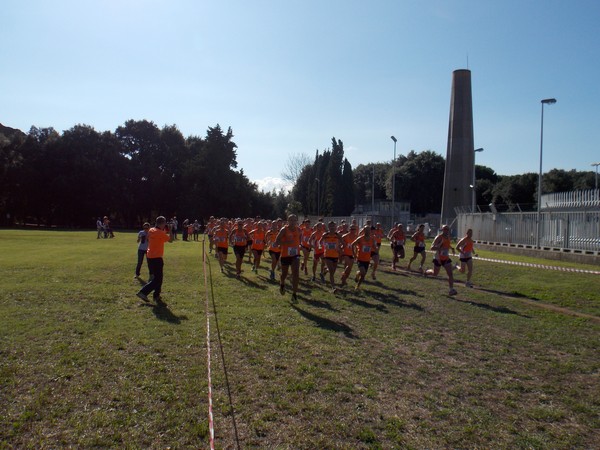 Trofeo Podistica Solidarietà (28/09/2014) 007