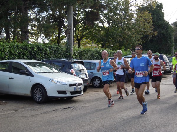 Half Marathon delle Terre Pontine (16/11/2014) 00026