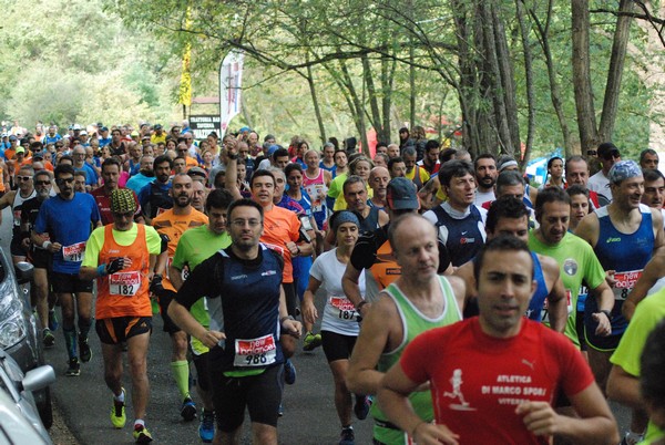 Mezza Maratona del Lago di Vico (25/10/2015) 00056