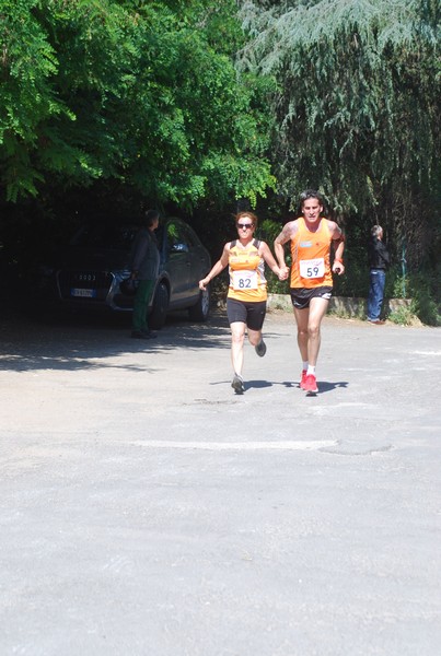 Maratonina di Villa Adriana (31/05/2015) 00001