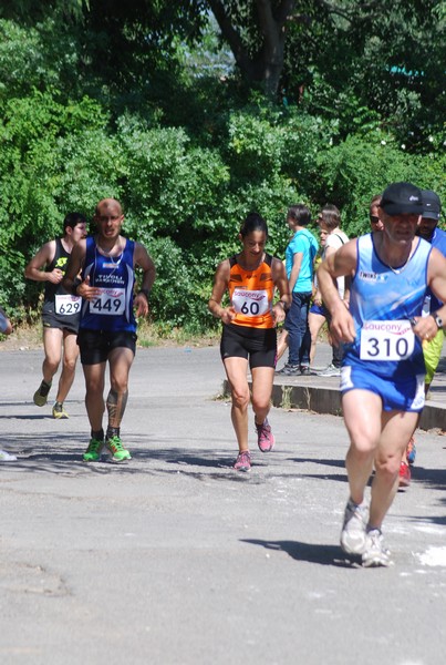 Maratonina di Villa Adriana (31/05/2015) 00030