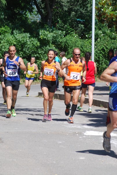 Maratonina di Villa Adriana (31/05/2015) 00032
