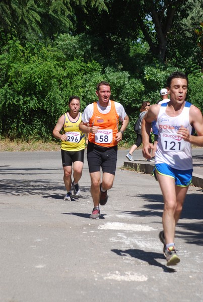 Maratonina di Villa Adriana (31/05/2015) 00060