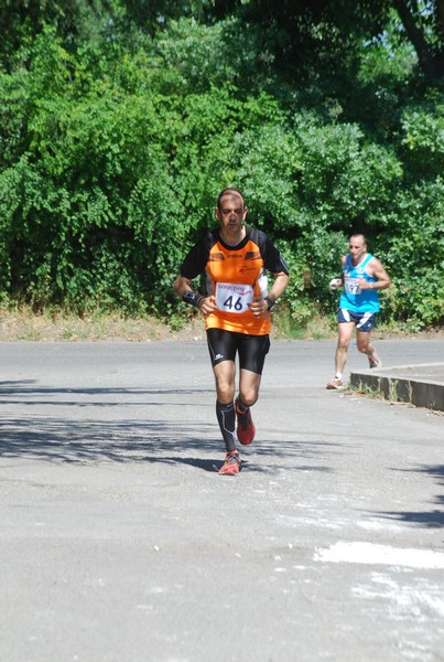 Maratonina di Villa Adriana (31/05/2015) 00088