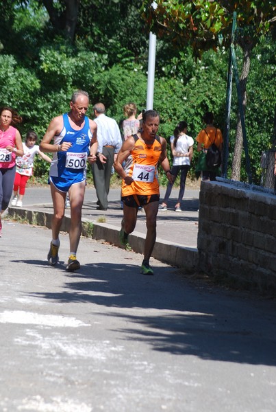 Maratonina di Villa Adriana (31/05/2015) 00098