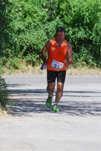 Maratonina di Villa Adriana (31/05/2015) 00111