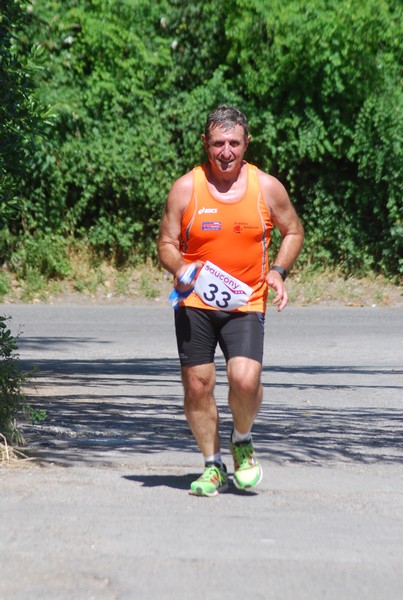 Maratonina di Villa Adriana (31/05/2015) 00113