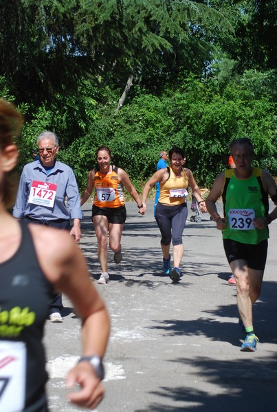 Maratonina di Villa Adriana (31/05/2015) 00157
