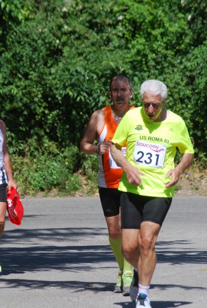 Maratonina di Villa Adriana (31/05/2015) 00184