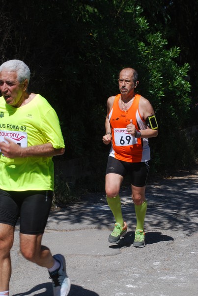 Maratonina di Villa Adriana (31/05/2015) 00185