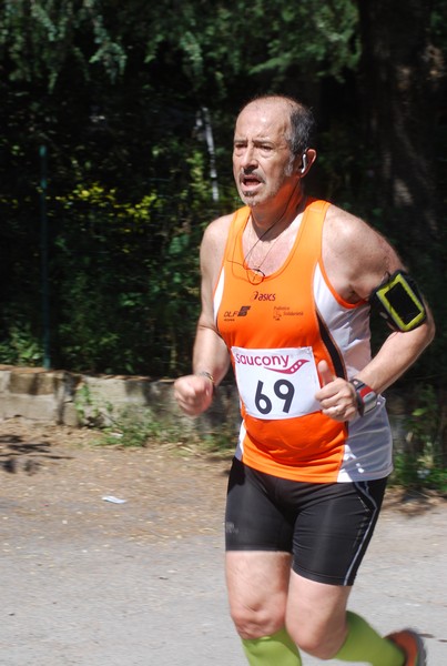 Maratonina di Villa Adriana (31/05/2015) 00188