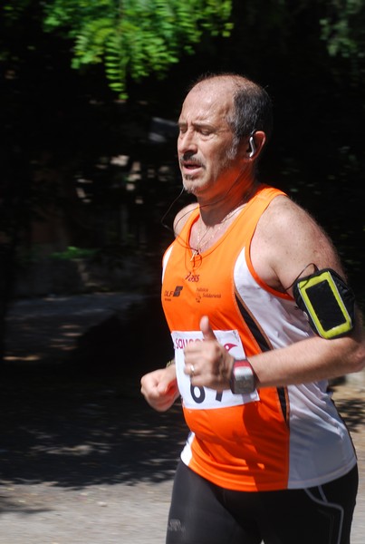 Maratonina di Villa Adriana (31/05/2015) 00189