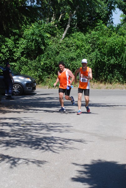 Maratonina di Villa Adriana (31/05/2015) 00192