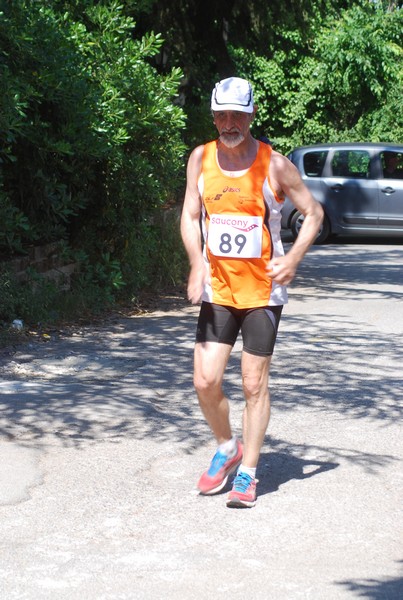 Maratonina di Villa Adriana (31/05/2015) 00200