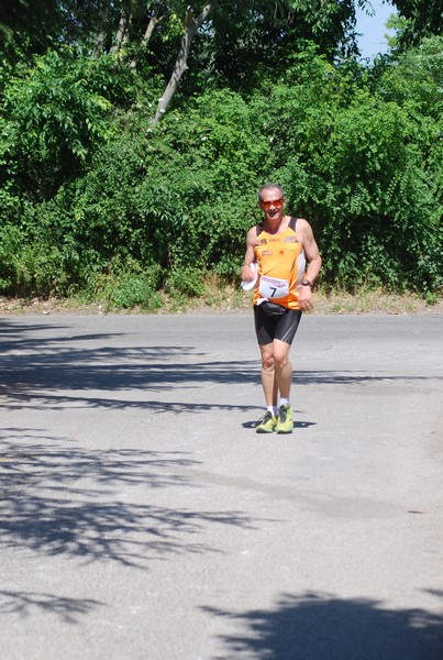 Maratonina di Villa Adriana (31/05/2015) 00204