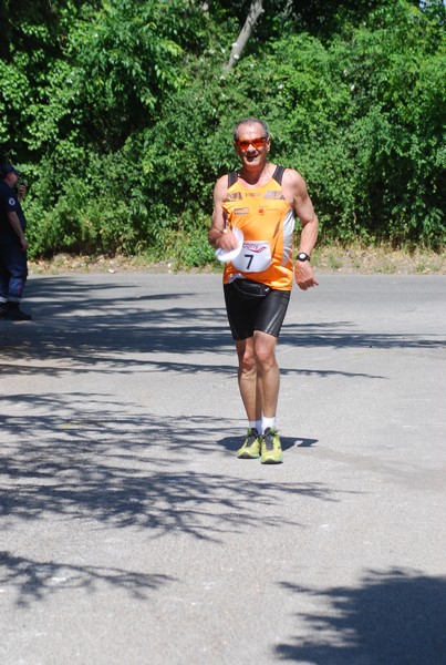 Maratonina di Villa Adriana (31/05/2015) 00207