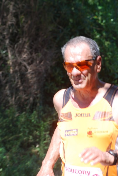 Maratonina di Villa Adriana (31/05/2015) 00214