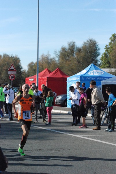 Fiumicino Half Marathon (08/11/2015) 00008
