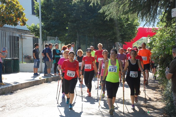 Maratonina di Villa Adriana (31/05/2015) 00001