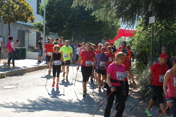 Maratonina di Villa Adriana (31/05/2015) 00006