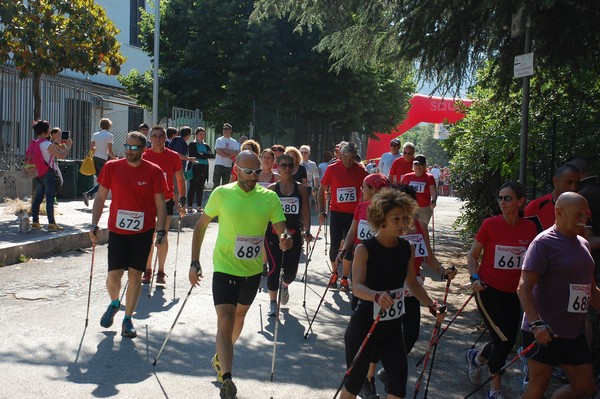 Maratonina di Villa Adriana (31/05/2015) 00010
